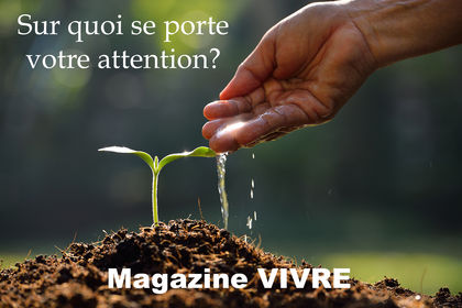 Sur quoi se porte votre attention ?