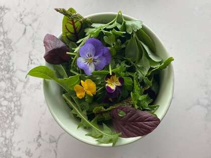 BIEN MANGER POUR MIEUX VIVRE : Ma croisade pour la Vie