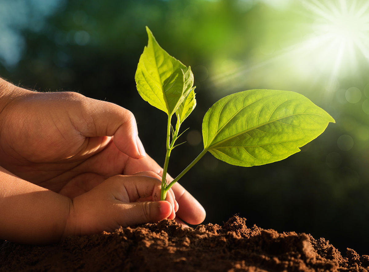 COEUR À COEUR: En Quête de sens