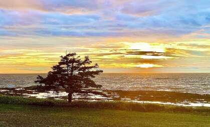 COEUR A COEUR : La souffrance - Source de Lumière avec Alexandre Jollien
