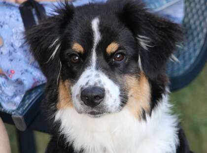 ÉDITORIAL : Un allié pour la Vie