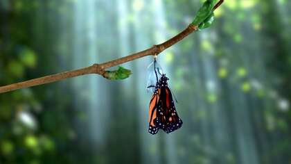 DOSSIER : Ma fabuleuse Mission