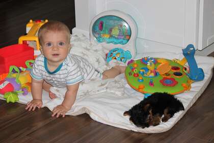 DOSSIER : S’émerveiller, c’est…