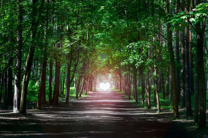 DOSSIER : Suivre la voie qui mène de la dualité à l’Unité Suivre la voie du cœur