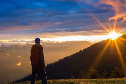 DOSSIER : Où est passée ma baguette magique?
