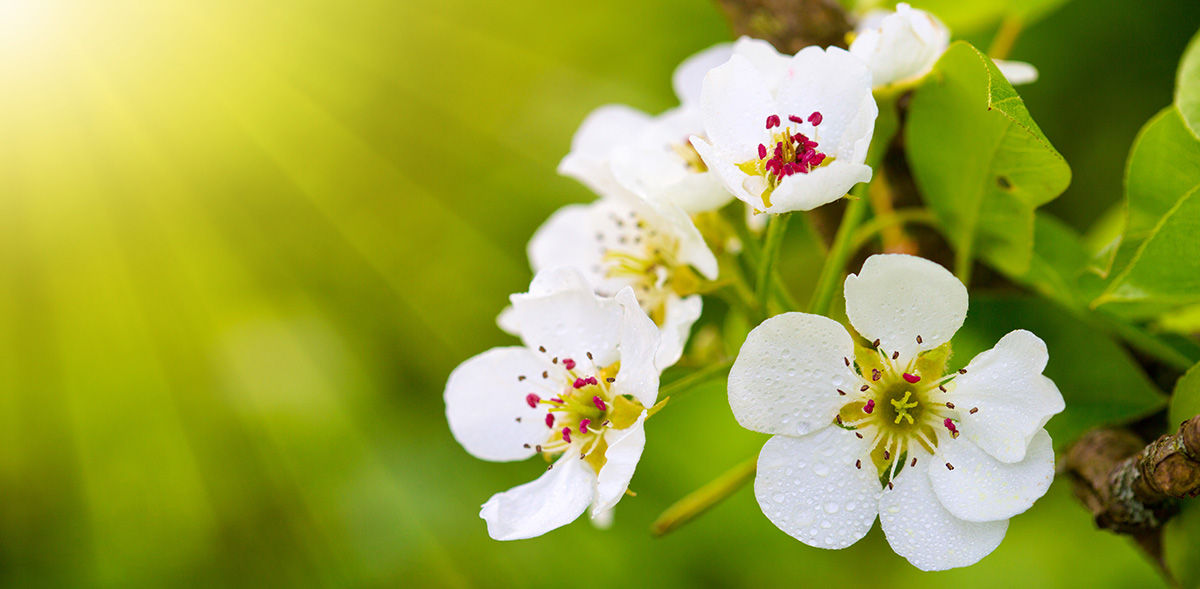 ÉDITO : Je sens, donc je suis…