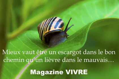 Vaut mieux être un escargot dans le bon chemin
