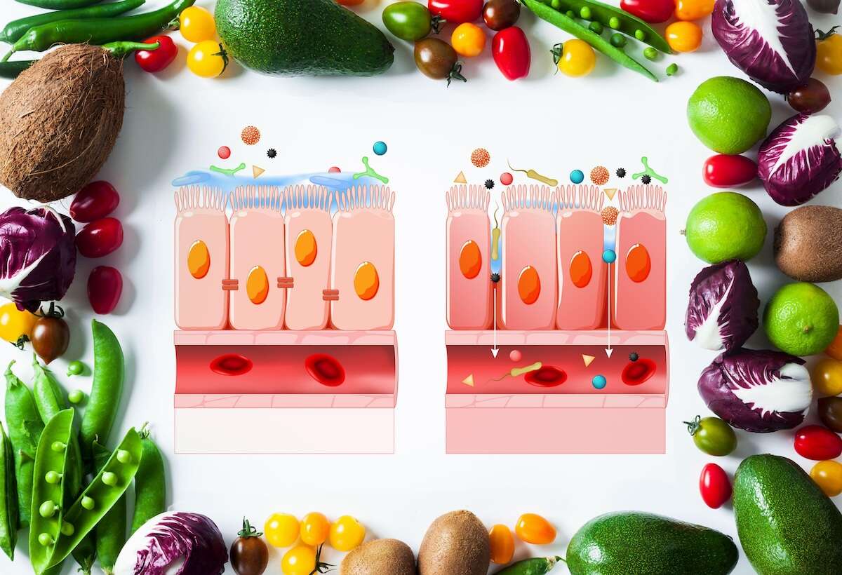 MON DOC ET MOI : Inflammation et auto-immunité…  Et si notre intestin y était pour quelque chose!