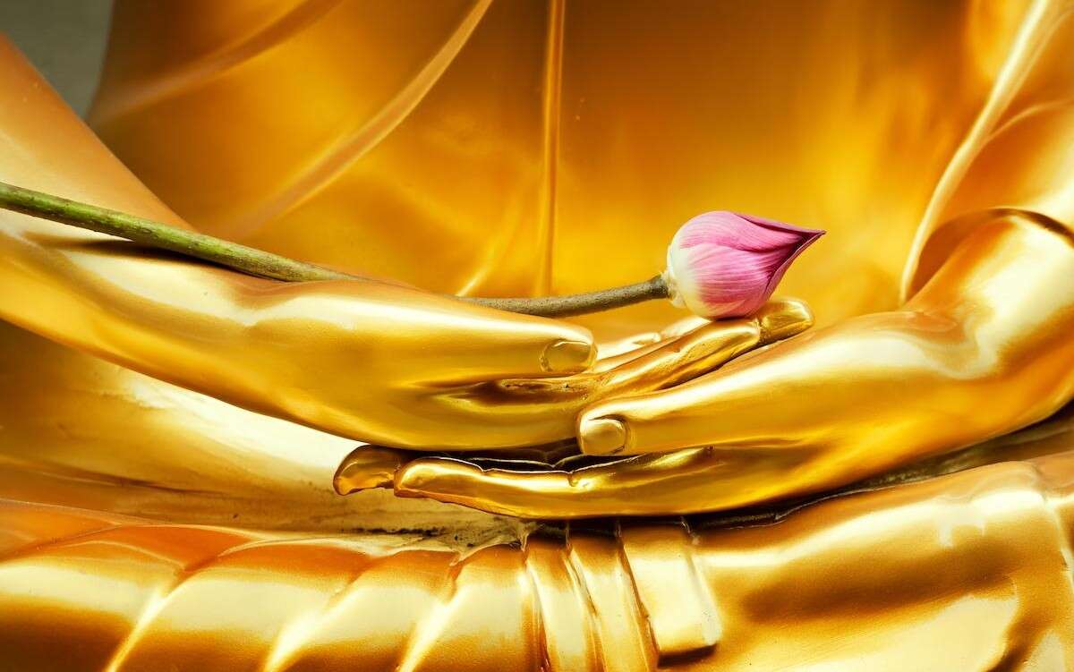 MON DOC ET MOI : L’autocompassion, un outil en Soi