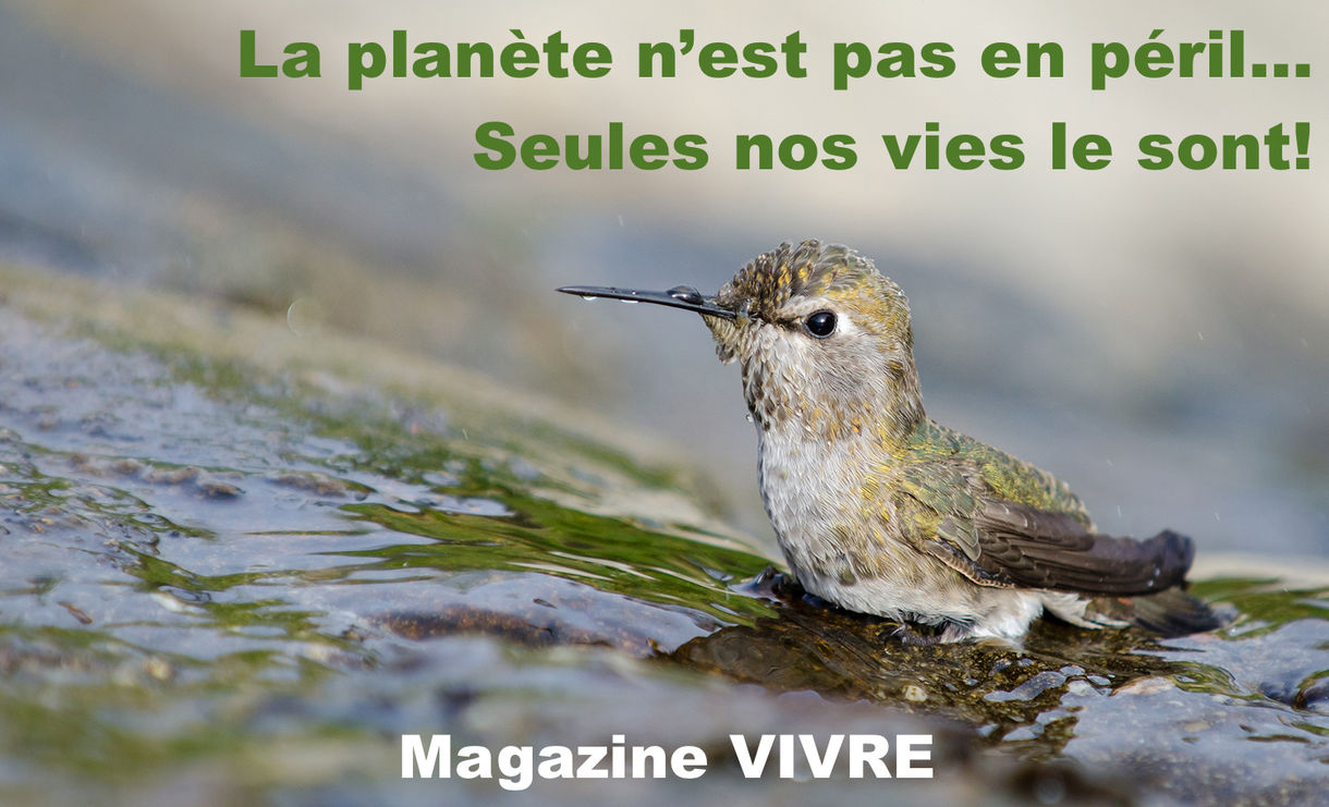 La planète n'est pas en péril...