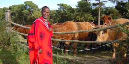 SPIRITUALITÉ : La spiritualité maasaï : vers une cohérence intérieure sans dogme