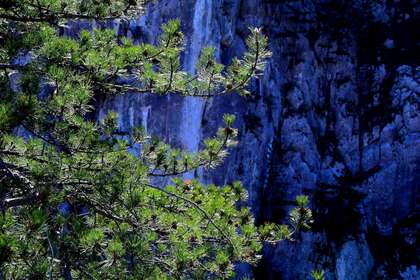 La Folle Vie d'un philosophe de 95 ans...