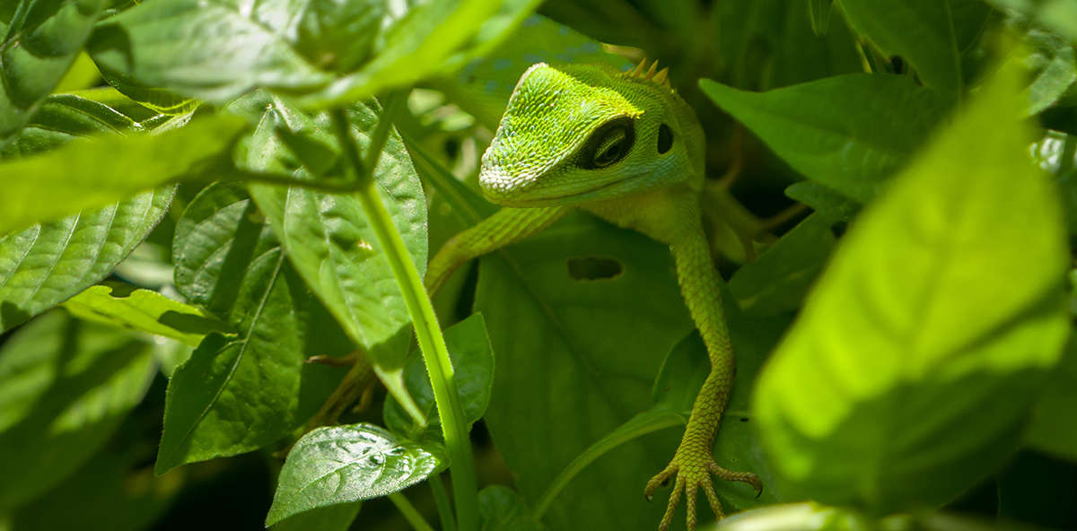 COUPLE : L’art du camouflage ou… Le besoin d’être aimé
