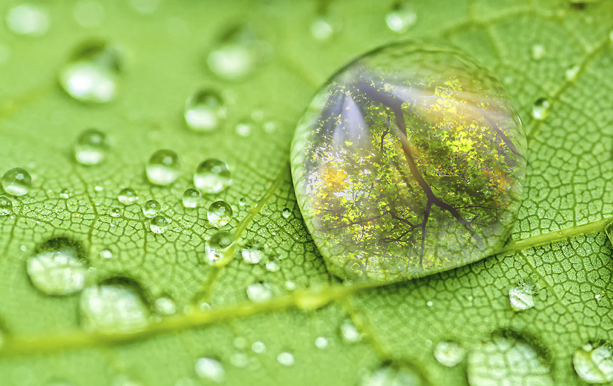 VIVRE AU QUOTIDIEN : La Vie est une école