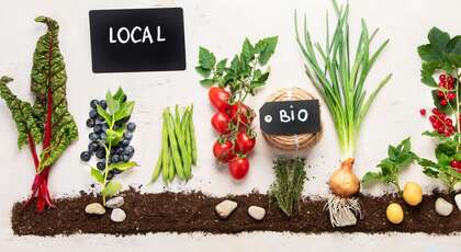 VIVRE EN CONSCIENCE : Nourrir notre corps, apaiser notre esprit