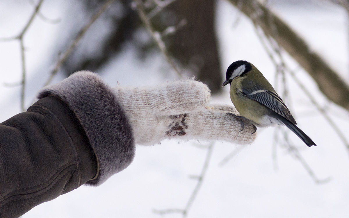 FAMILLE : Outiller nos enfants pour la Vie…