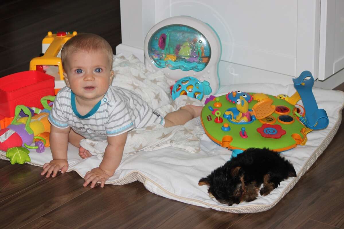 DOSSIER : S’émerveiller, c’est…